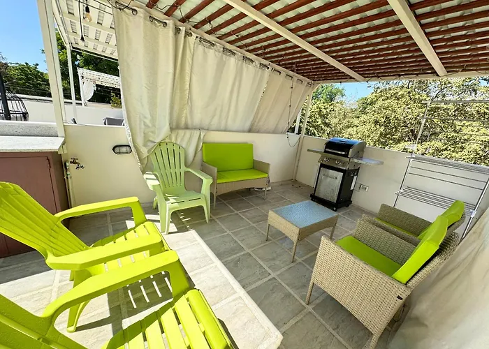 Parakeet Paradise 2nd Floor With Rooftop * Coco