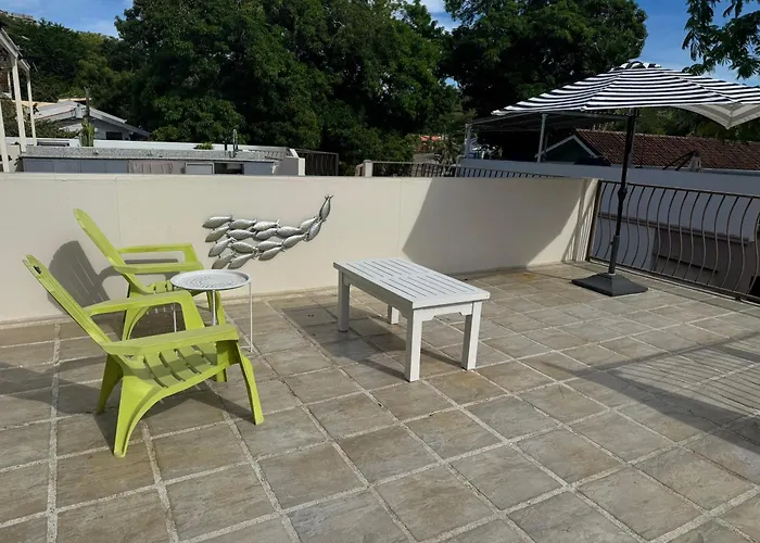 Parakeet Paradise 2nd Floor With Rooftop Vakantiehuis